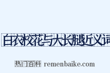 白衣校花与大长腿近义词是什么意思的图片